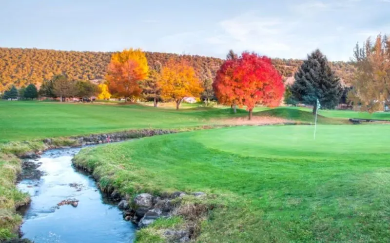 Cedaredge Golf Club